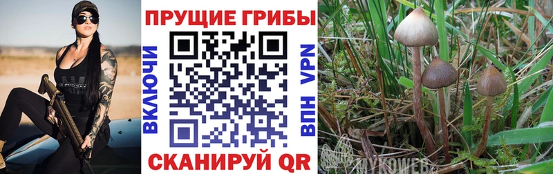 Галлюциногенные грибы ЛСД  Ряжск 